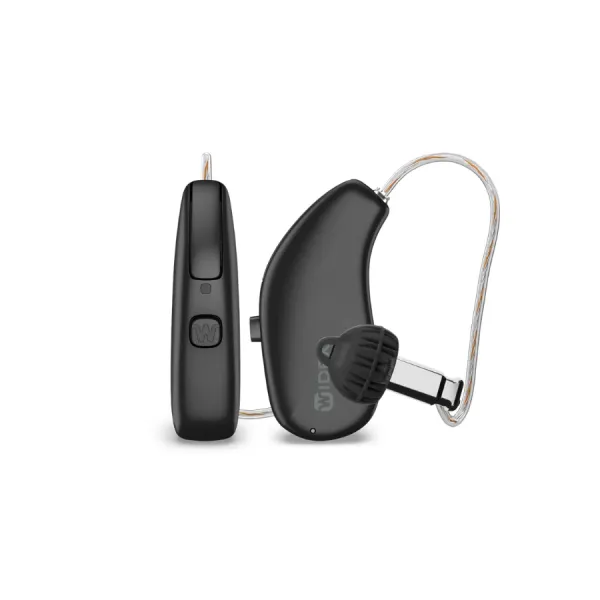 Allure 220 hearing aid